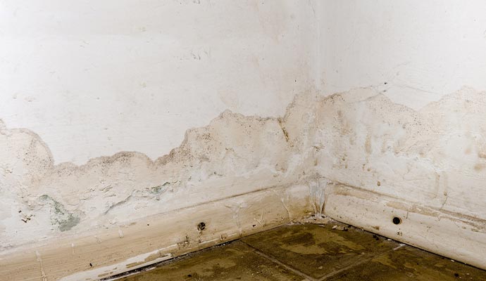 water and mold damaged wall and floor