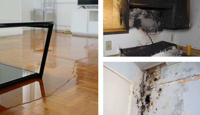 Fire, Water & Mold